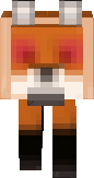 Kung Fu Fox