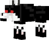 Aluditu