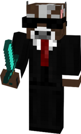 Skin Do Banner