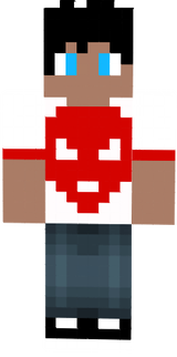 skin for minecraft