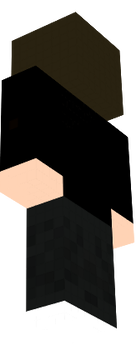 LpMiniNinja