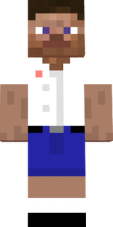 Saint Louis School Skin 