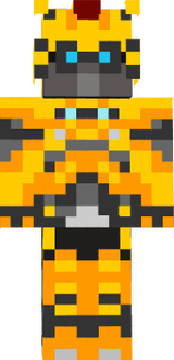 adans skin
