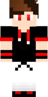 Nettolink_