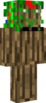 skin