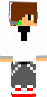 Minecraft skin of mir