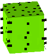 Кактус