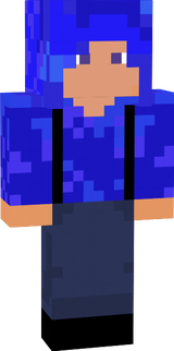 Pauls skin