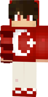 XsynapseDenizhan