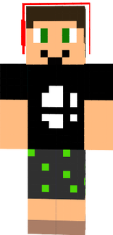 DMK V2