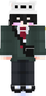mincraft.skin