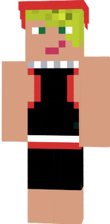 Stexpert