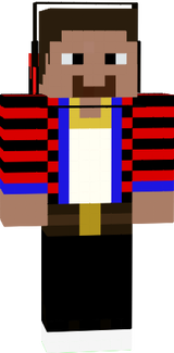 Mincraft skin