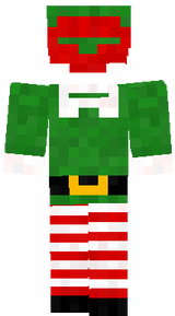 Elf outfit costume