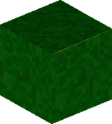 grass