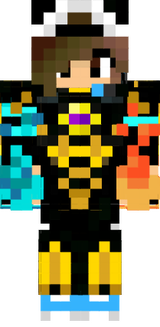 dragon knight  armor