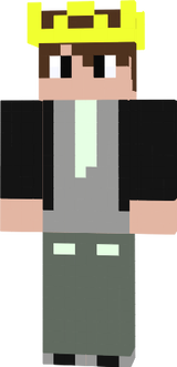 Bart V1P