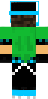 skin
