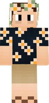 vicentim_