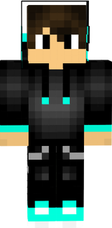 Honk