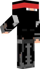 Finished Ninja