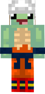 tortuga ssj ultrainstinto