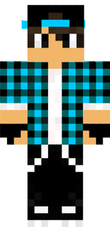 RayconSD