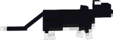 dsadasda