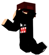 RONEY_PVP