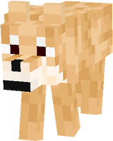 un perro