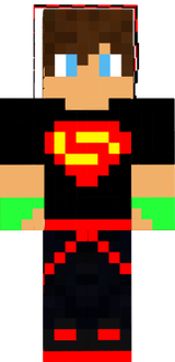 skin