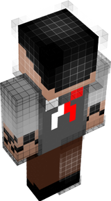 skin 1