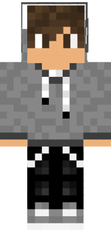 VNGmer