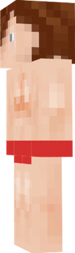 Povsekaki