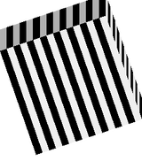 zebraa