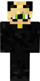 Chat noir