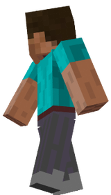 stevenew