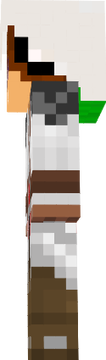 Ryan skin