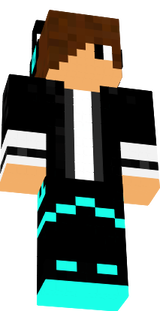 chip2012