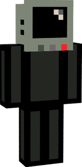 computer 11223344556677889900