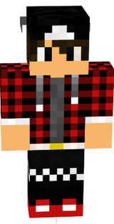 skin