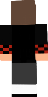 birub4_gamer de verdade