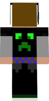 Skin Wownji i KrystianPDP