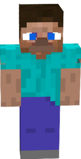 steve
