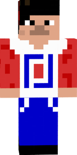 skin 1 robertogamer
