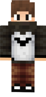 Finn_vr