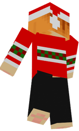 Skin gato navidad