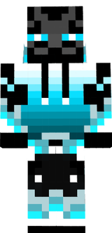TheArcticEnderman