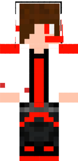 mr.minecraft201