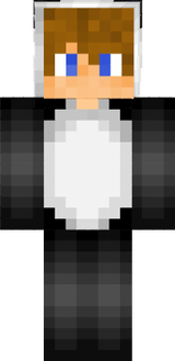 dsgsdg